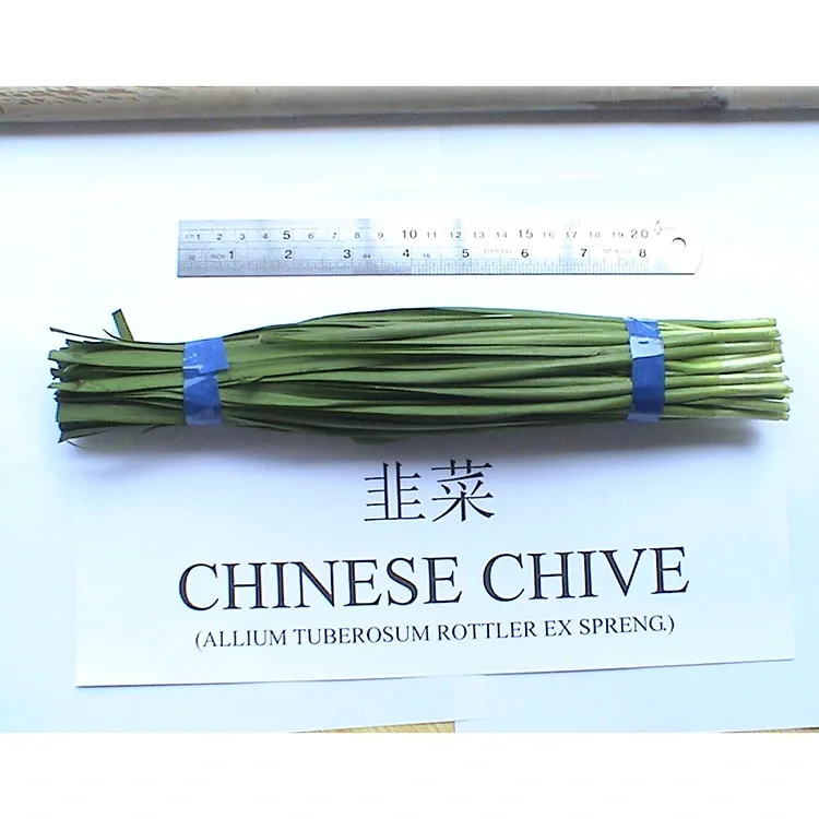 De ce arpagicul chinezesc proaspăt de fermă este utilizat pe scară largă în bucătăria asiatică?