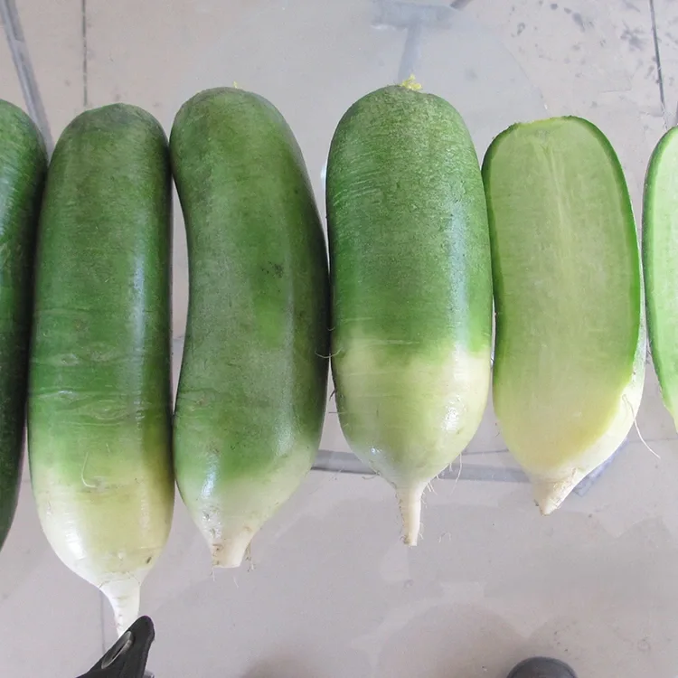 Ridiche verde crocantă