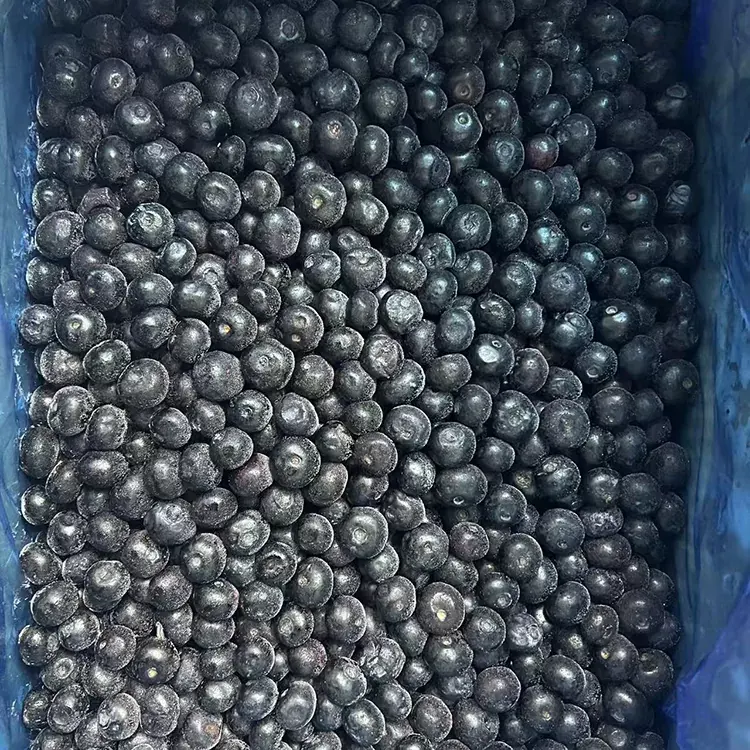 Afine congelate Premium IQF Afine