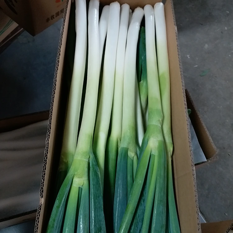 Ceapă verde cultivată în mod natural