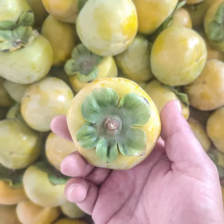 Curki premium proaspăt crocant