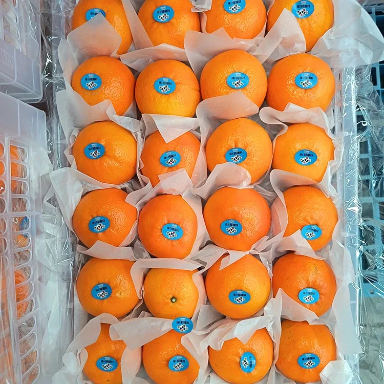 Mandarine Wogan dulci proaspete premium