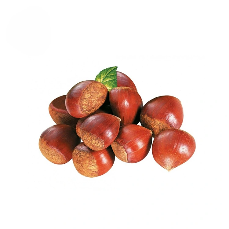 Castane de calitate premium