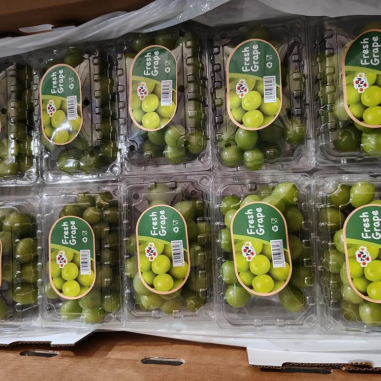 Struguri Muscat Fresh Shine selectați